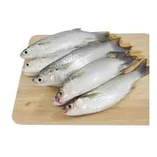 Fresh Biyah Fish (Mullet) Large per kg