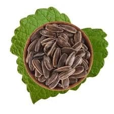 لب عباد الشمس عادي 500 جم