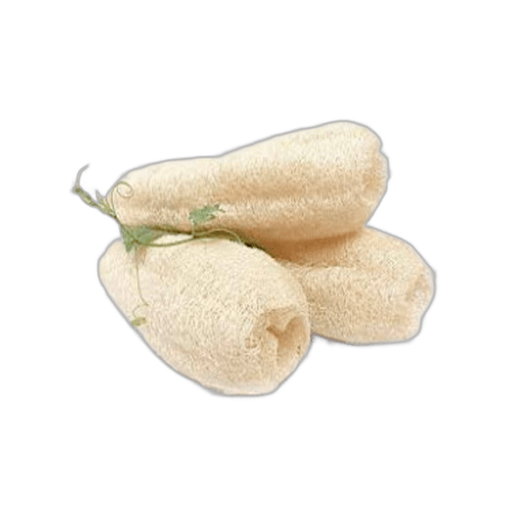 Loofah Mira Natural Big Size