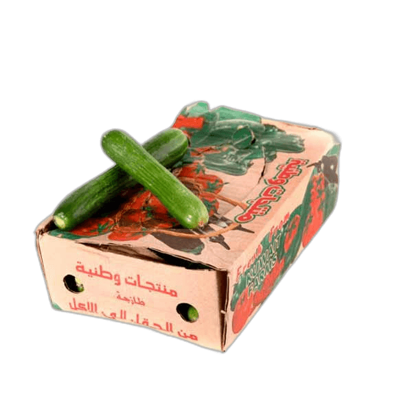 Cucumber Packet