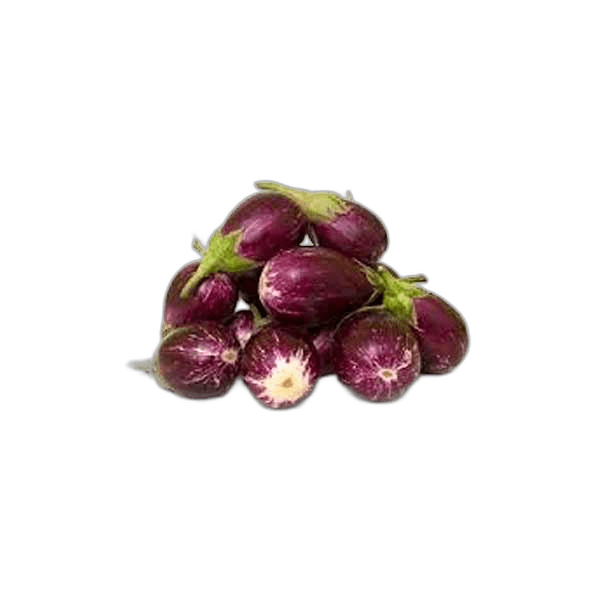 Brinjal/Baygon Small (Import)
