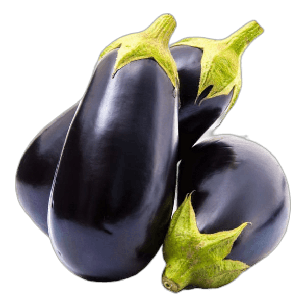 Eggplant Import per kg