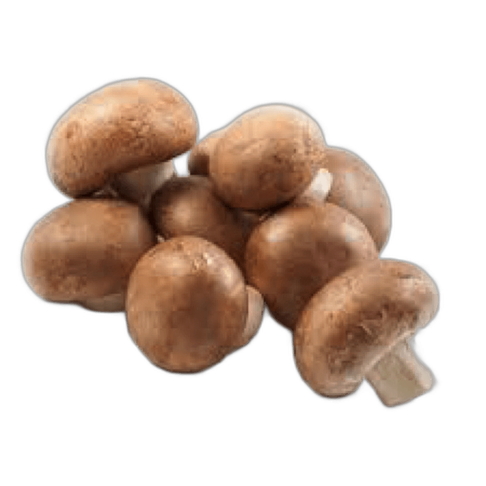 Mushroom Brown Holland Packet