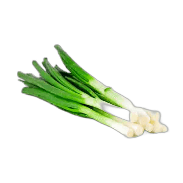 Spring Onion