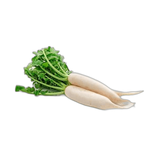 White Radish