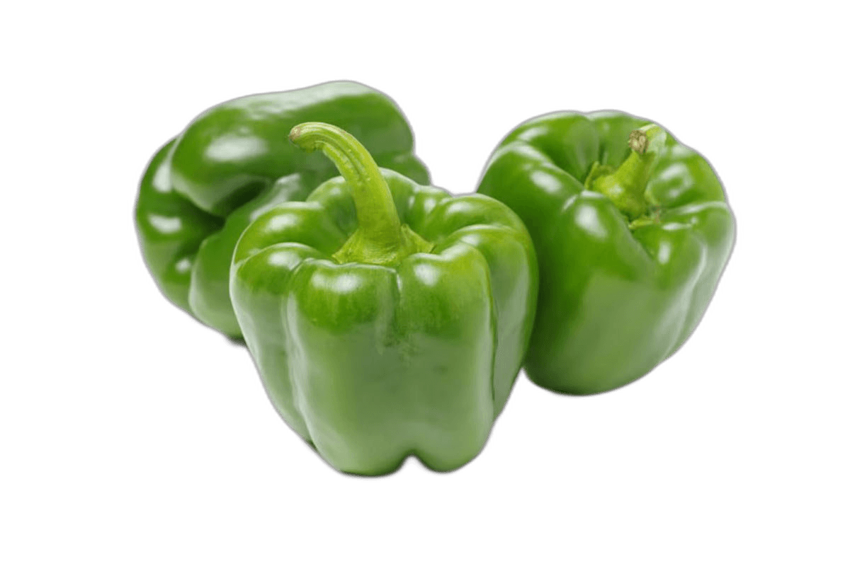 Capsicum Jordan