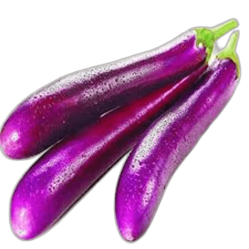 Eggplant Long Violet