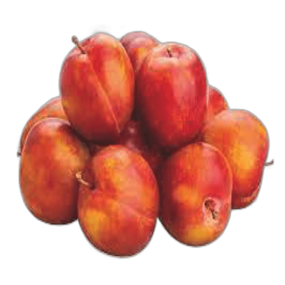 Nectarine Jordan Box