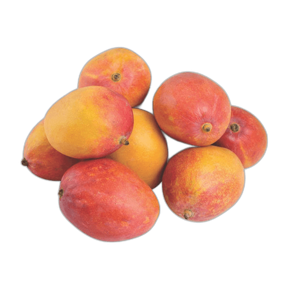 Mango Yemen per kg