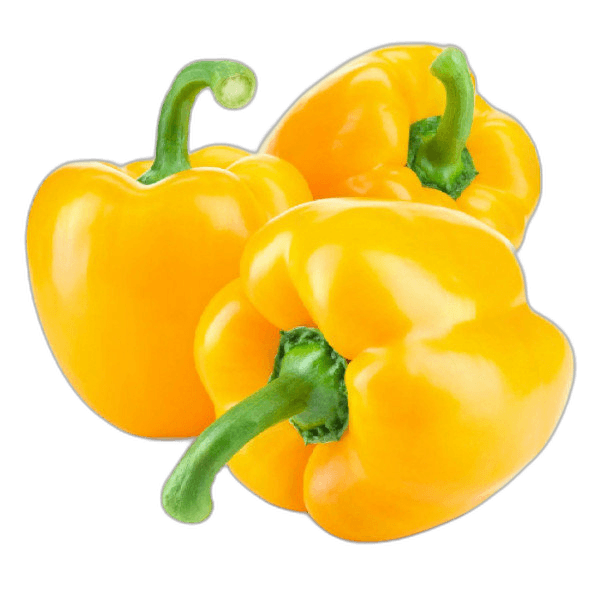 Capsicum Yellow Jordan per kg