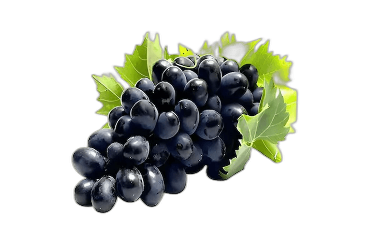 Black Grape Box