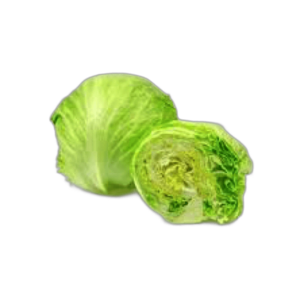 Lettuce Lolo Rosso