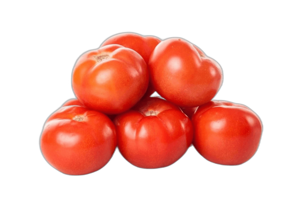 Tomato Syria per kg