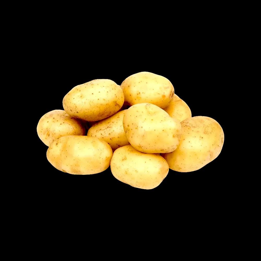 Potato Lebanon per kg