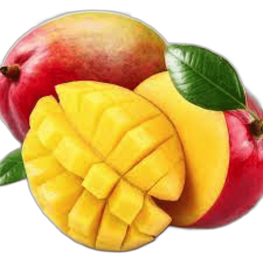 Mango Egypt