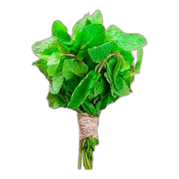 Mint Leaves India Piece