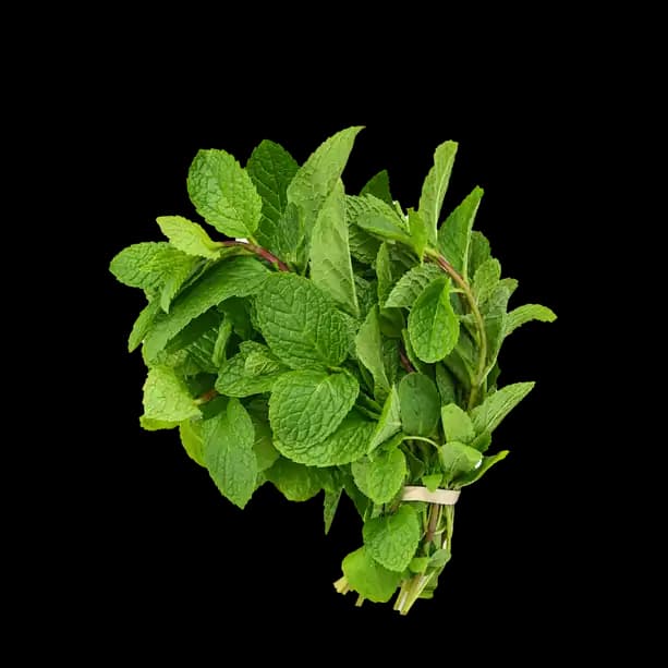 Mint Leaves India Piece