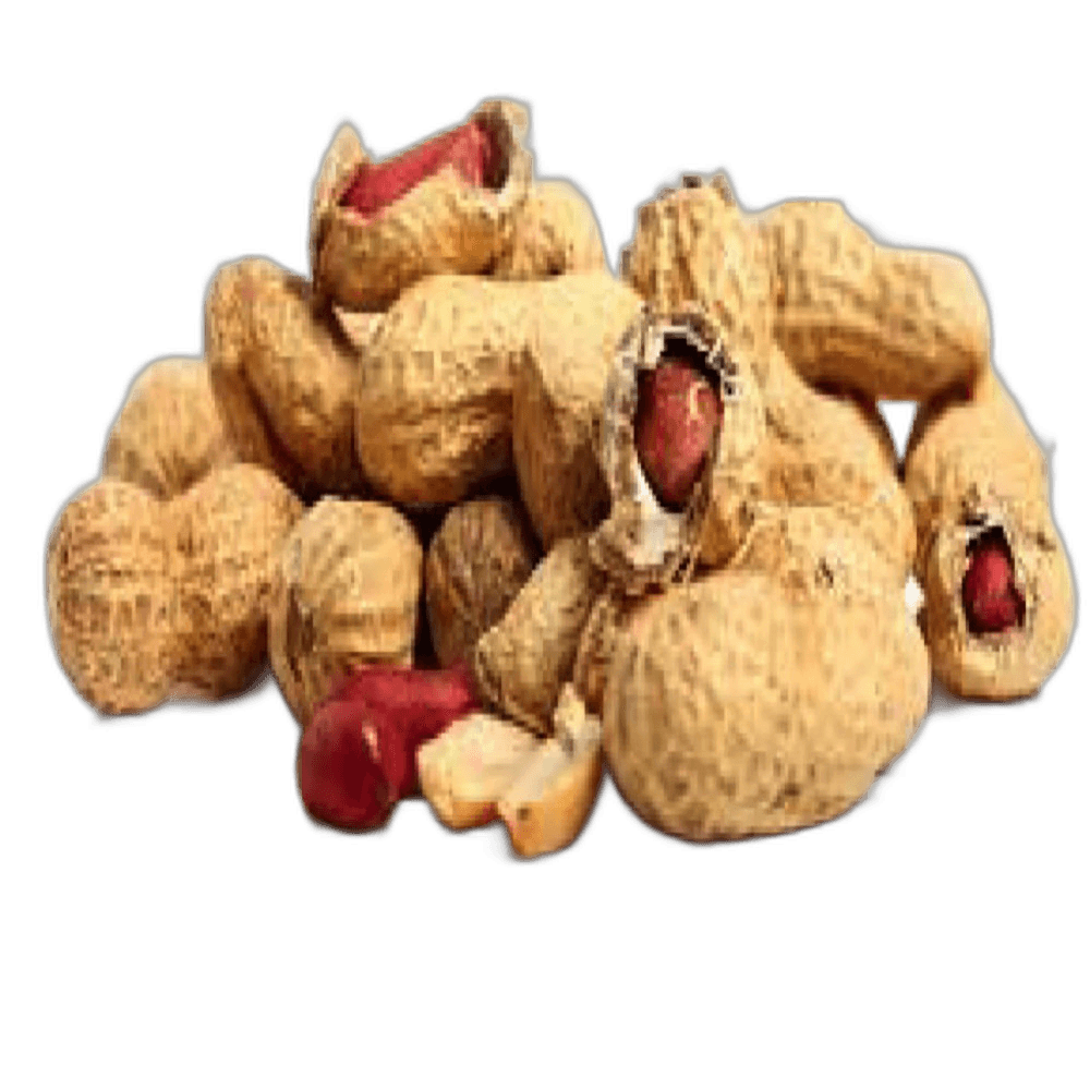 Fresh Peanut per kg