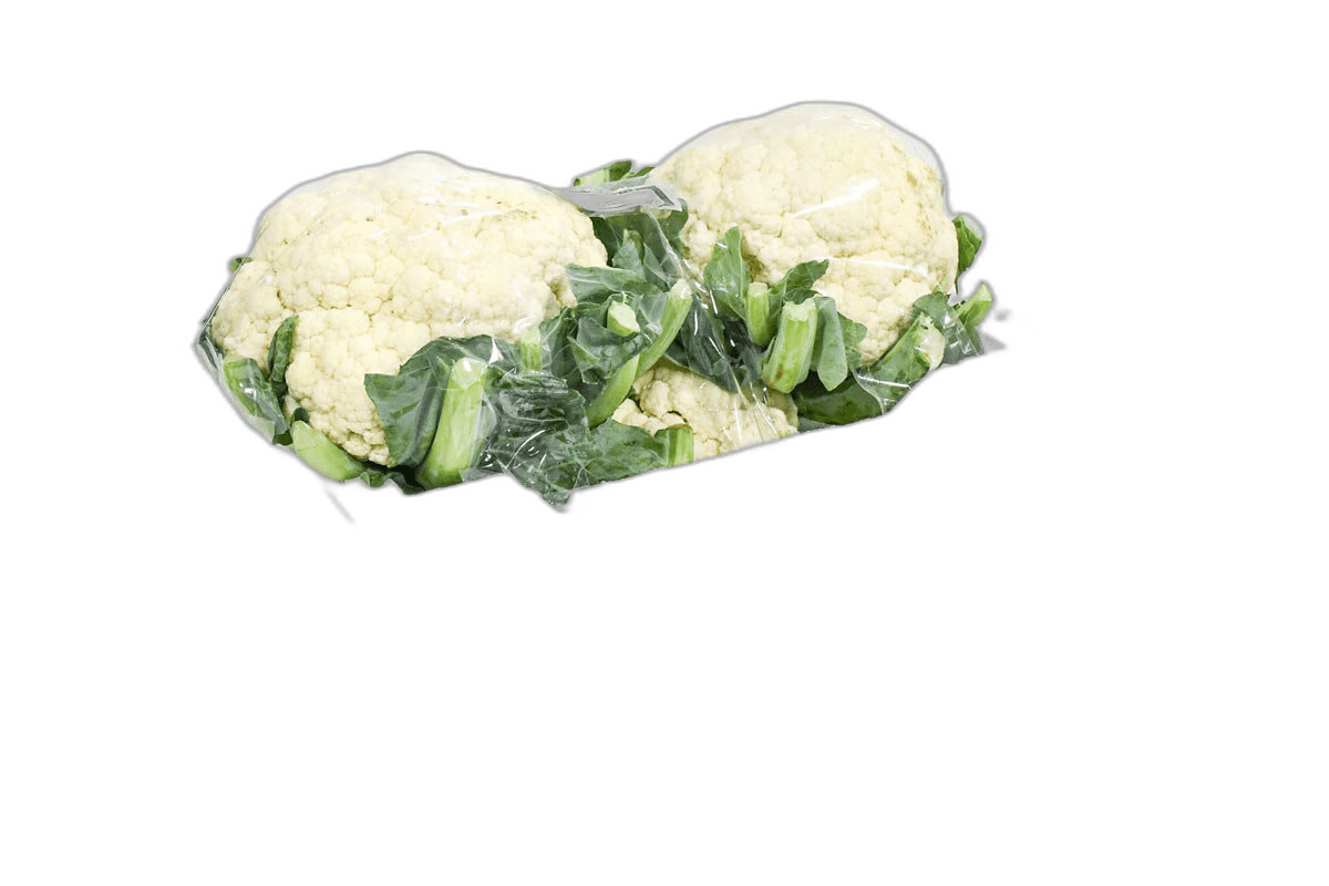 Cauliflower Foam Box Small