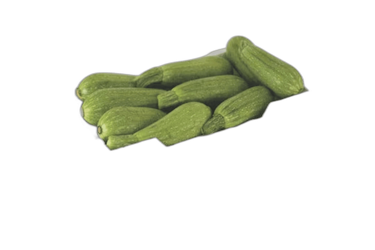 Kuwait Marrow - Koosa Foam Box