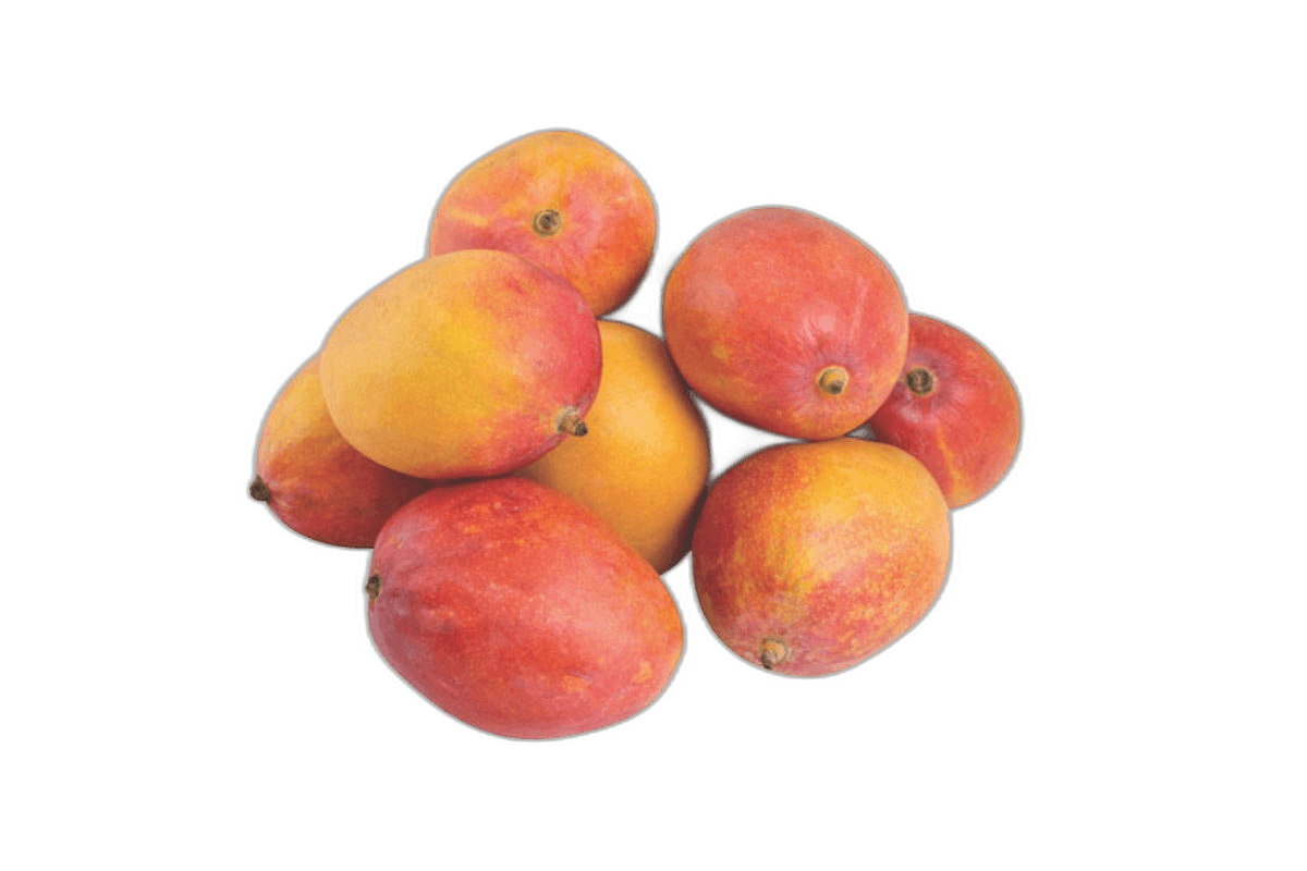 Mango Kalbathoor (Yemen) per kg