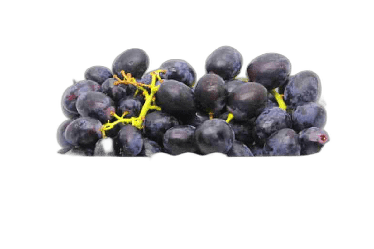 Grape Black Box