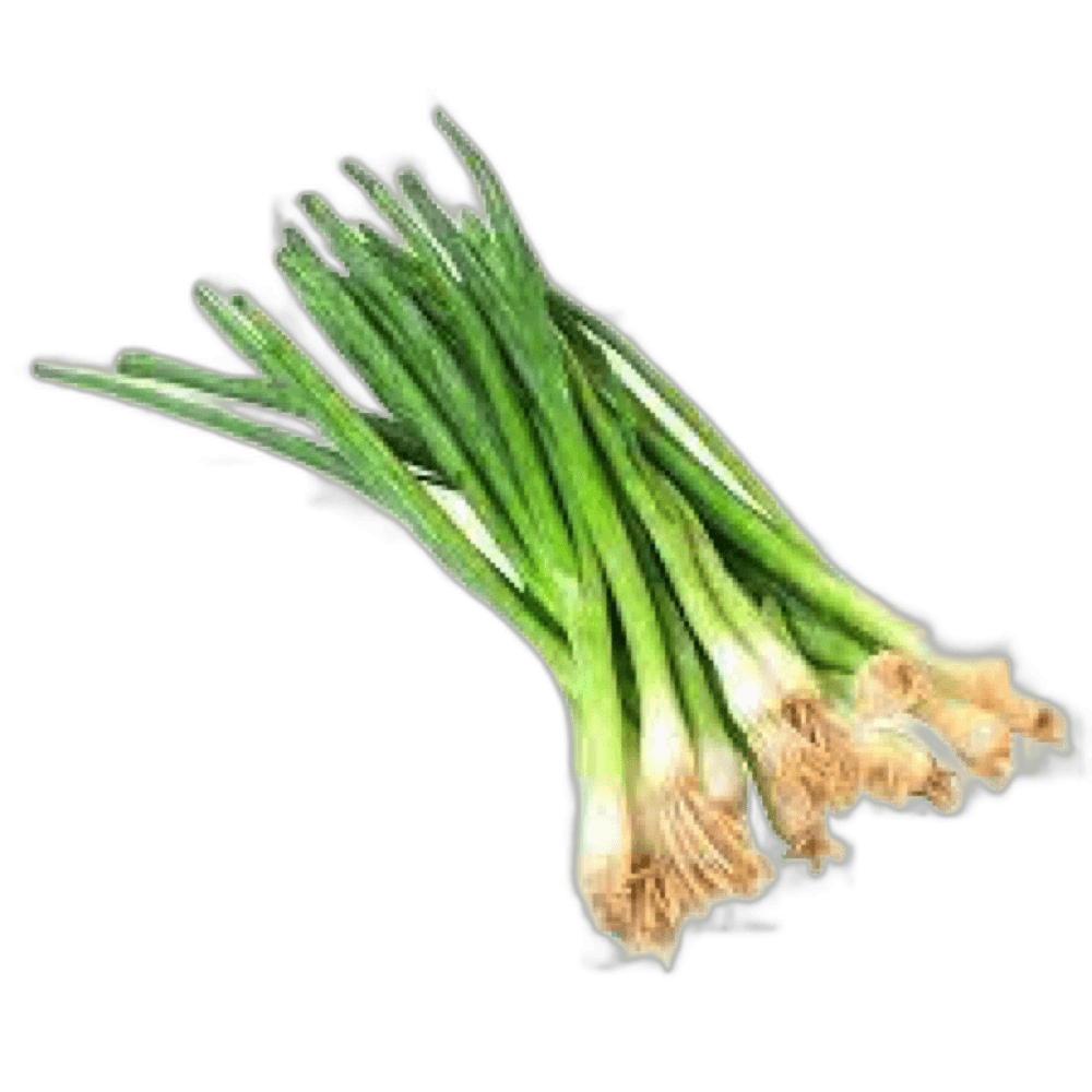 Spring Onion Bunch