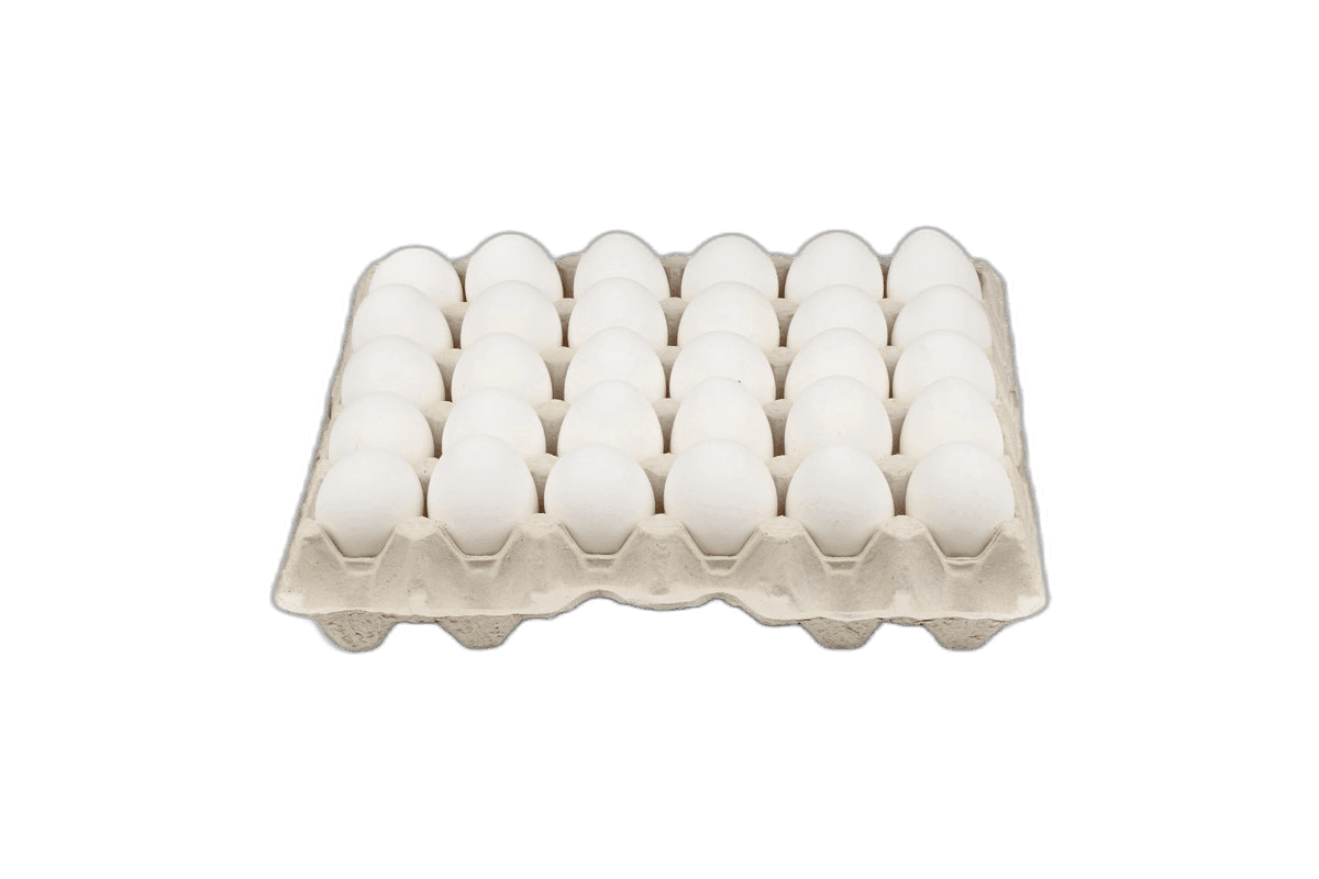 Turkey White Egg M Size 30 Pack (Imp)