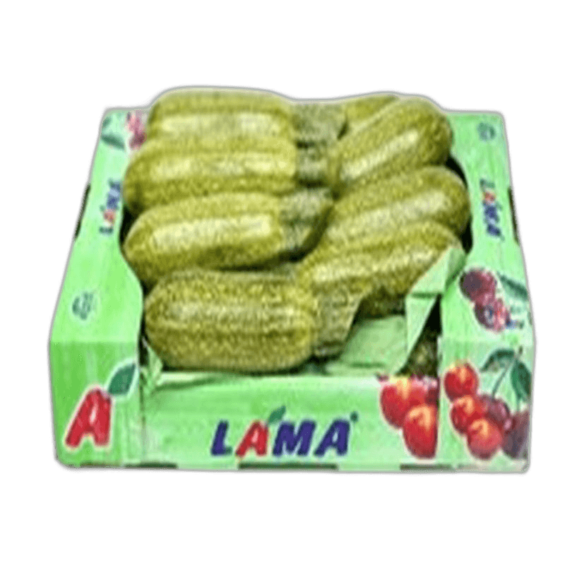 Zucchini Small Box
