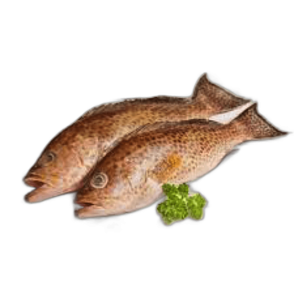 Hamour per kg