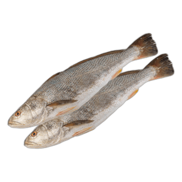 Nuaiby Big per kg