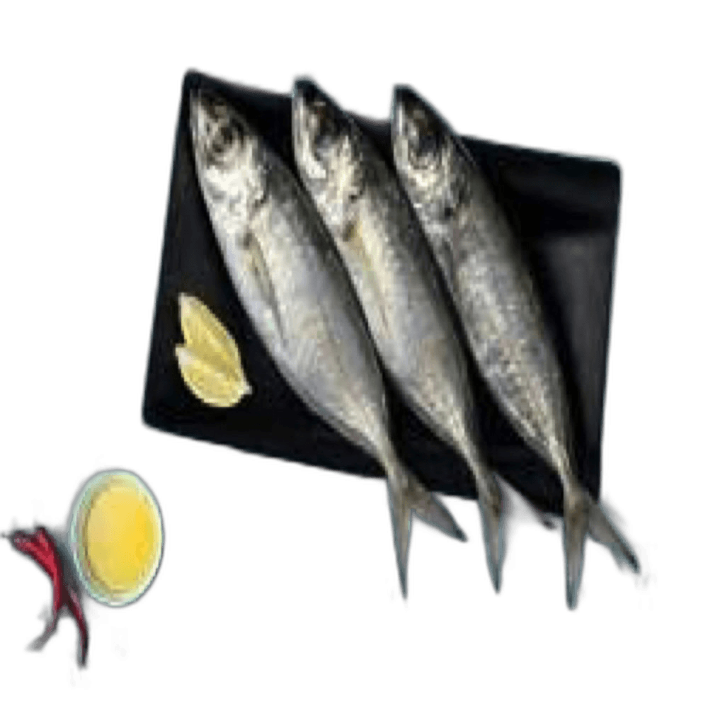Scad - Kanameen