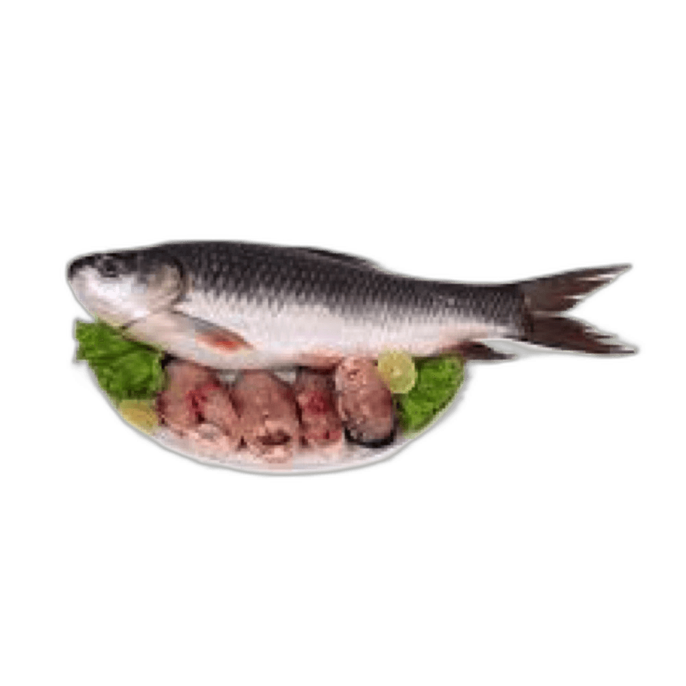 Egyptian Rohu (Fresh)