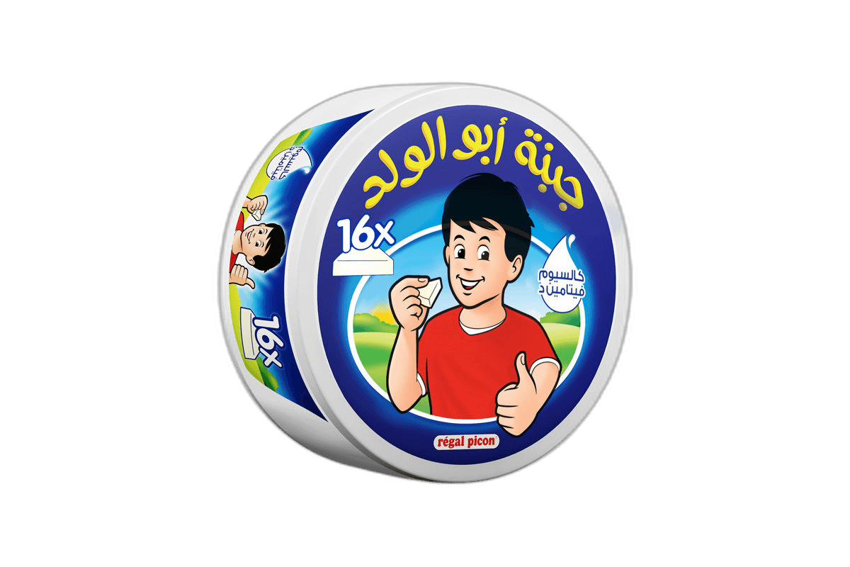 Regal Picon 16 Portions Cheese, 240g