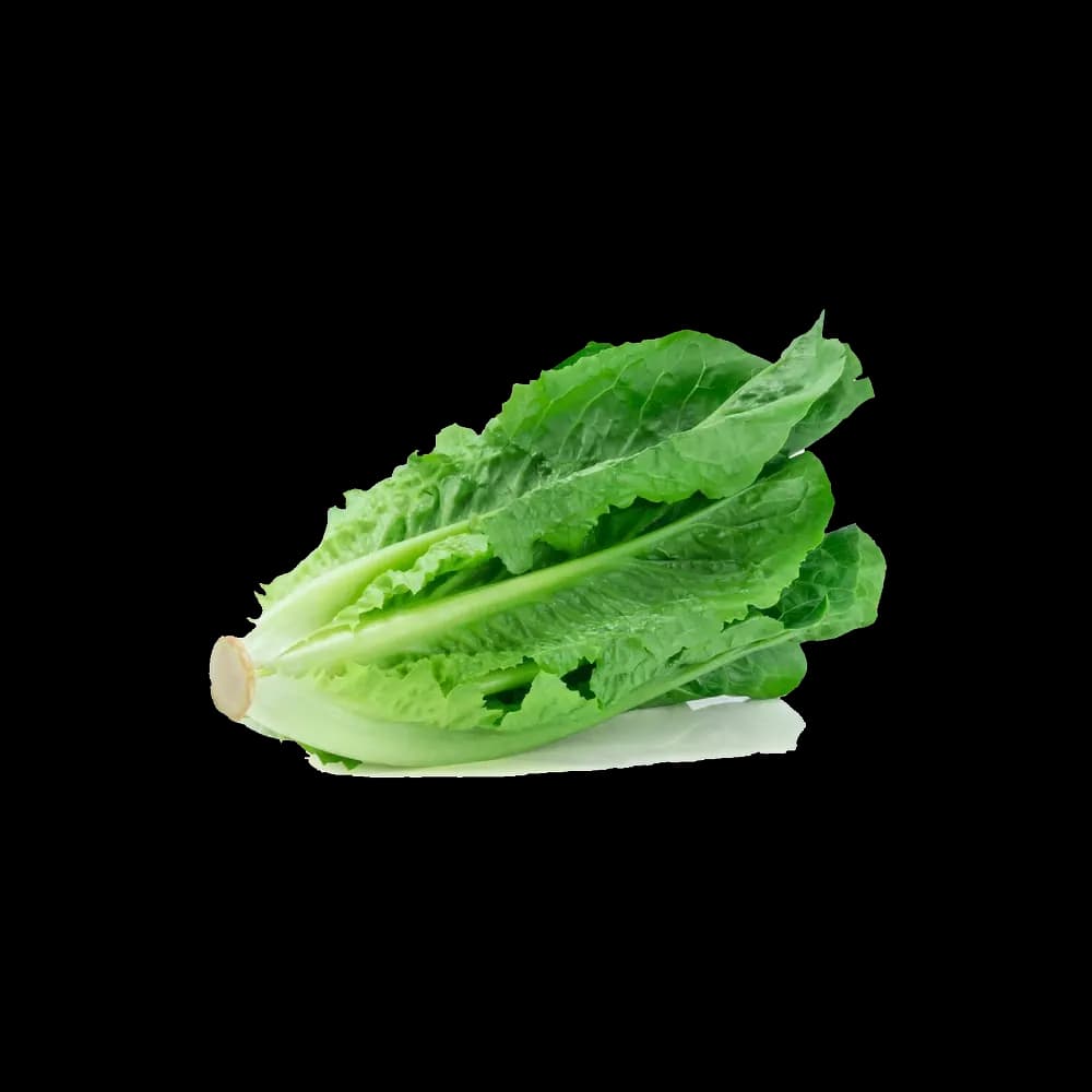 Jordanian Lettuce, 1kg