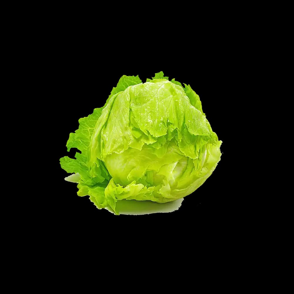 Kuwaiti Lettuce Iceberg, 1kg