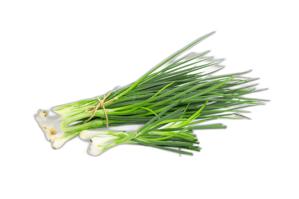 Spring Onion - Bunch