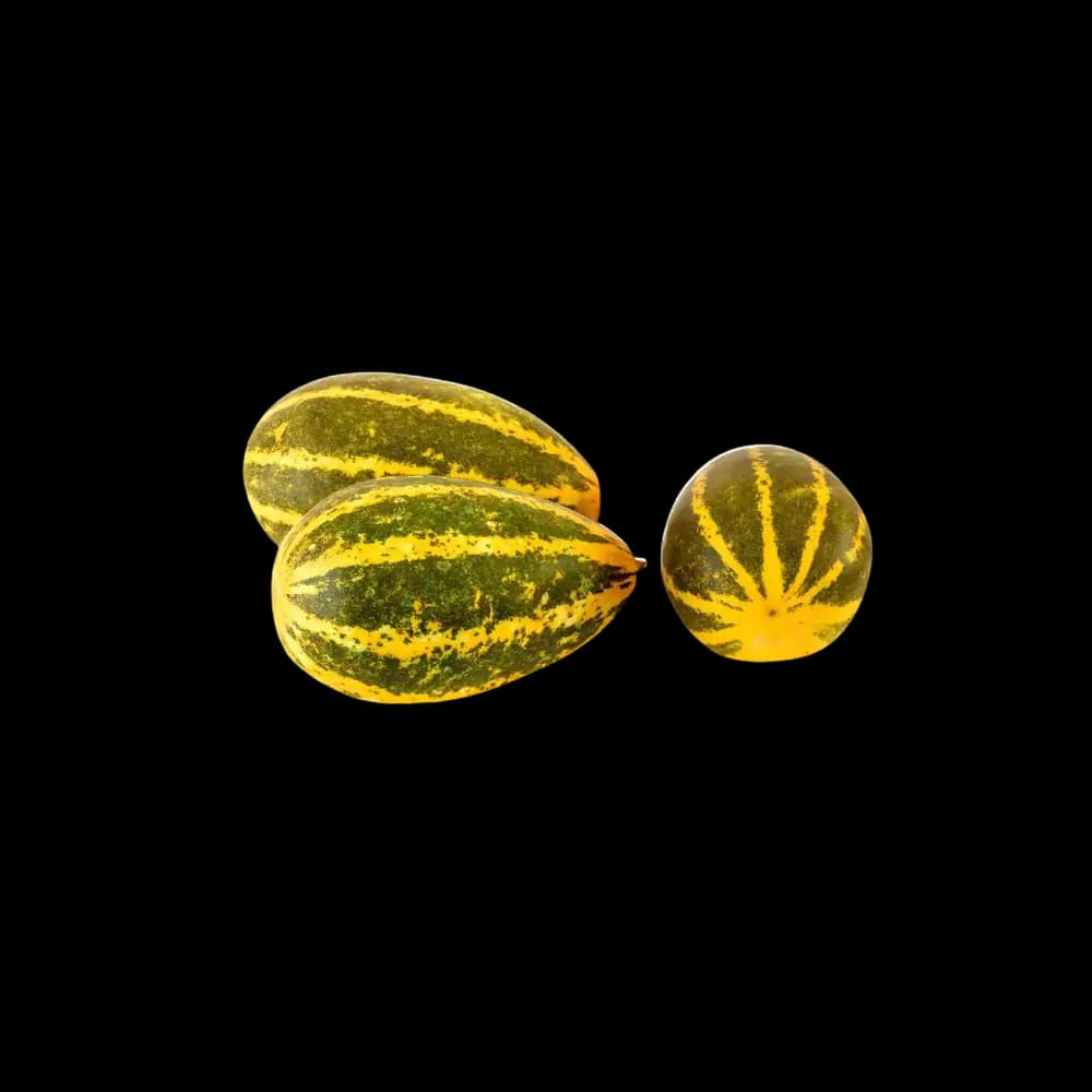 Indian Yellow Cucumber (Vellery), 1kg