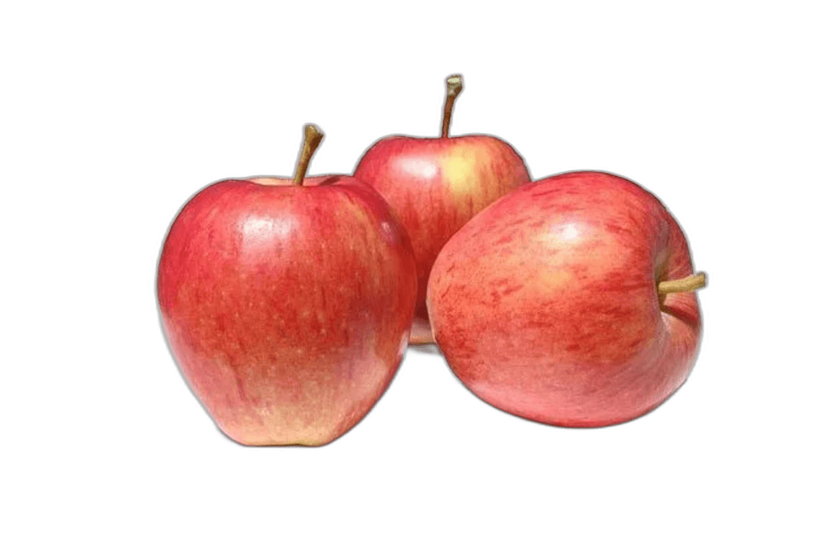 South African Apple Royal Gala, 1kg