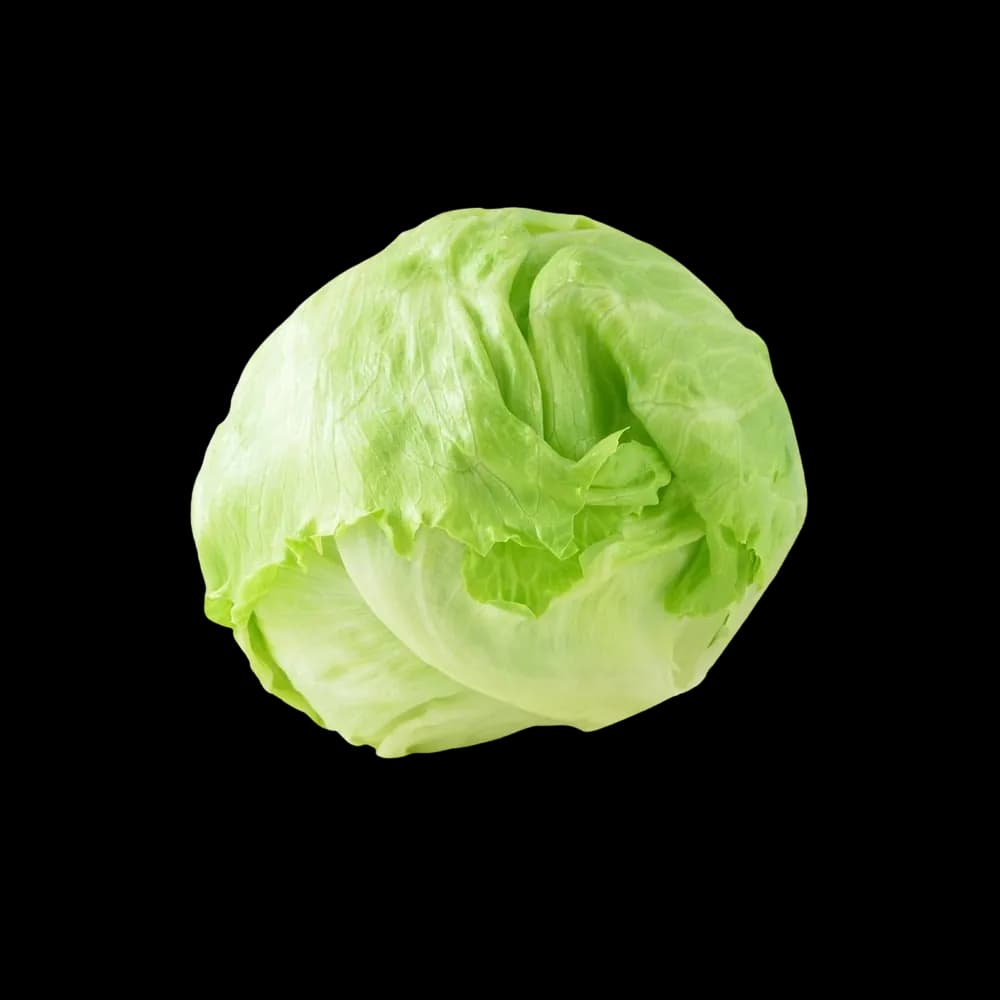 Jordanian Lettuce Iceberg, 1kg