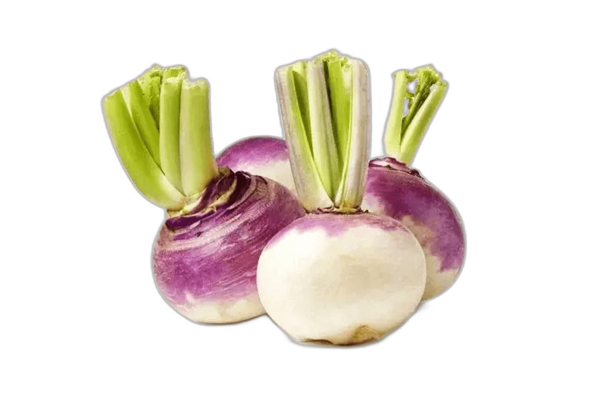 White Turnips Saudi 1 kg