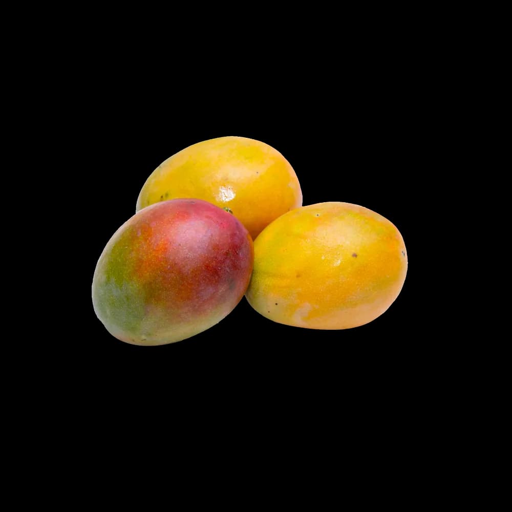 Yemen Mango, 1kg