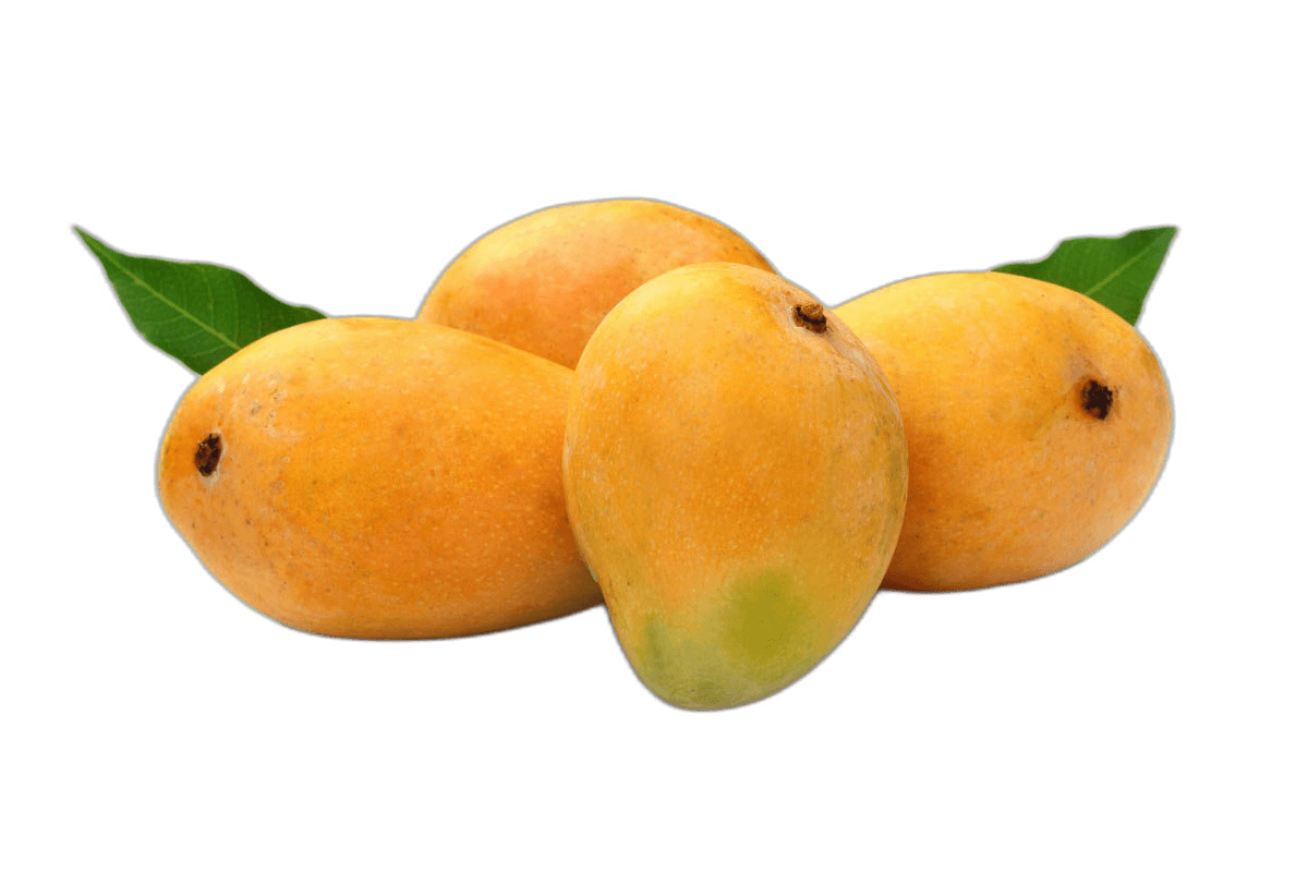 Mango Alphonso India 1 kg