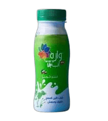 Wara Full Fat Laban 200 ml