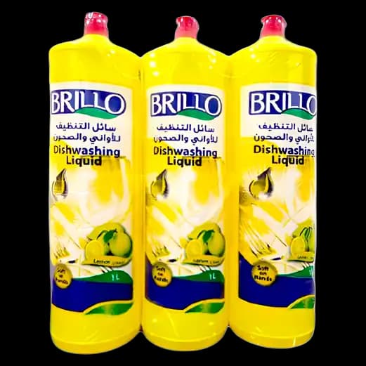Brillo Antiseptic Disinfectant 2 x, 1L