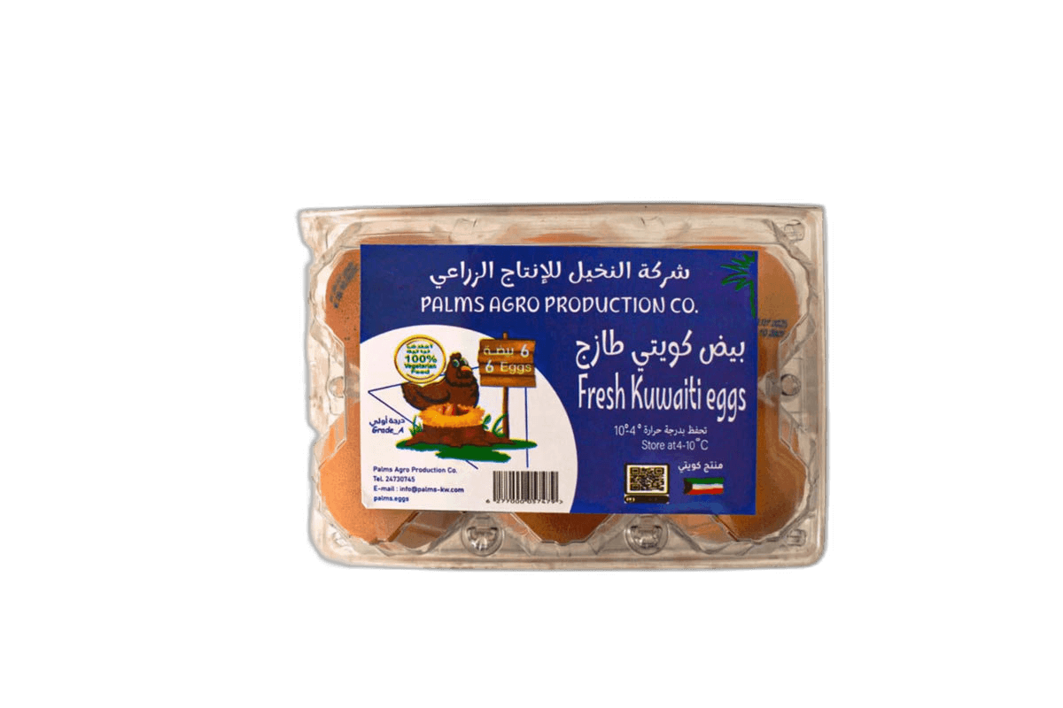 Palms Agro Brown Vegan Egg Plastic Tray 60/70 6