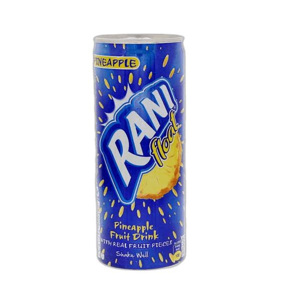 Rani Pineapple Float Juice 240 ml
