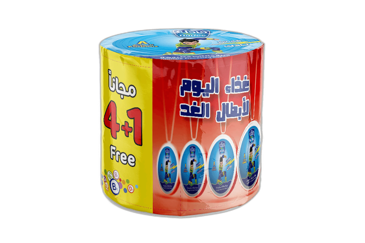 Nadec Triangle Cheese 5 x 100 g