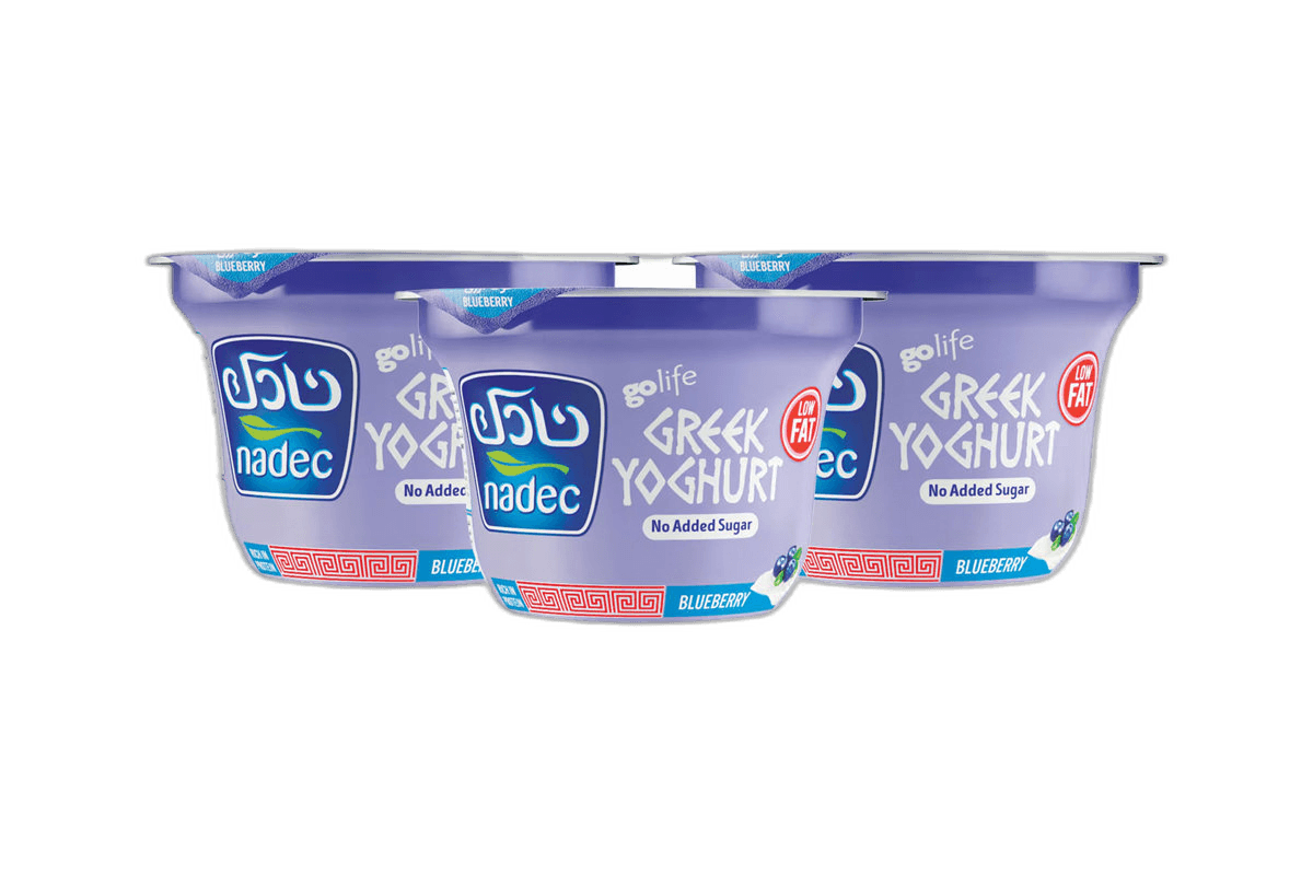Nadec Greek Yoghurt Blue Berry LF 3 x 160 g