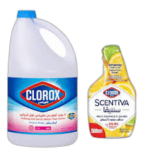 Clorox Bleach + Citrus Spray + 500 ml